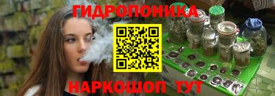 a pvp Боровичи