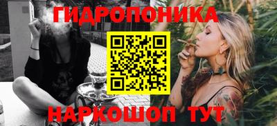 a pvp Боровичи