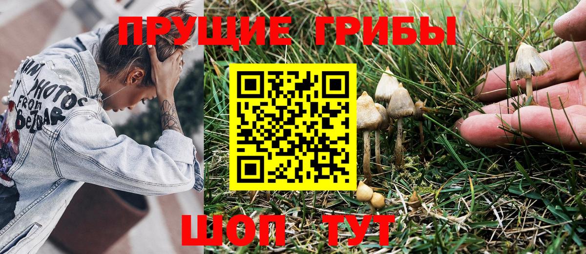 Воткинск  где купить наркотик  Вход с VPN  Псилоцибиновые грибы Cubensis 
